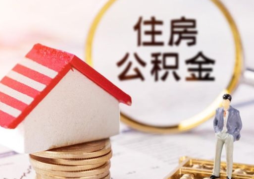 临清住房公积金账户余额如何提取（如何提取住房公积金个人账户余额）